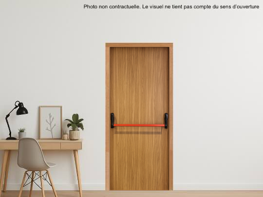 Bloc-porte bois coupe-feu EI60 double vantaux avec barre anti-panique