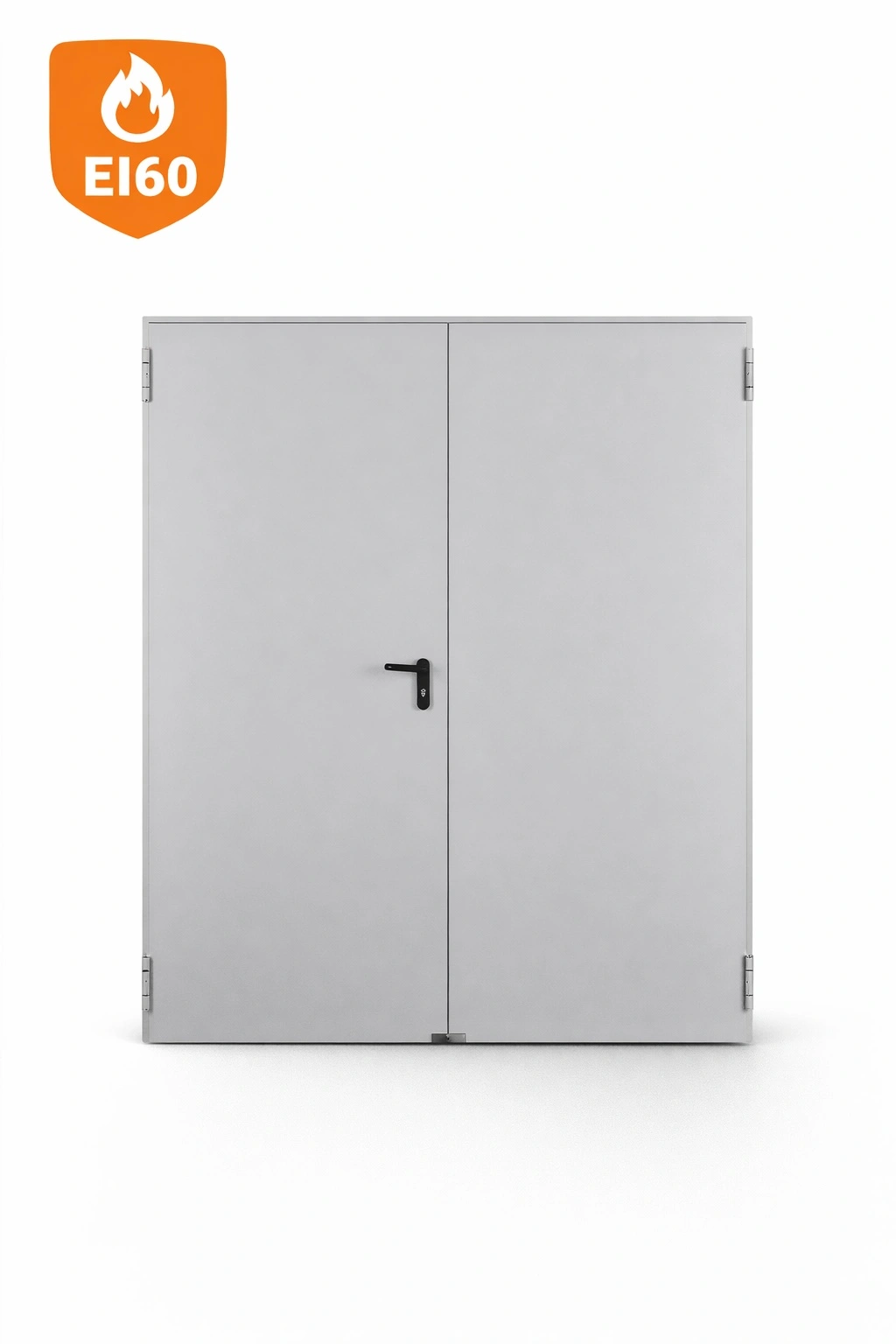 Vignette produit porte métallique EI60 2 vantaux